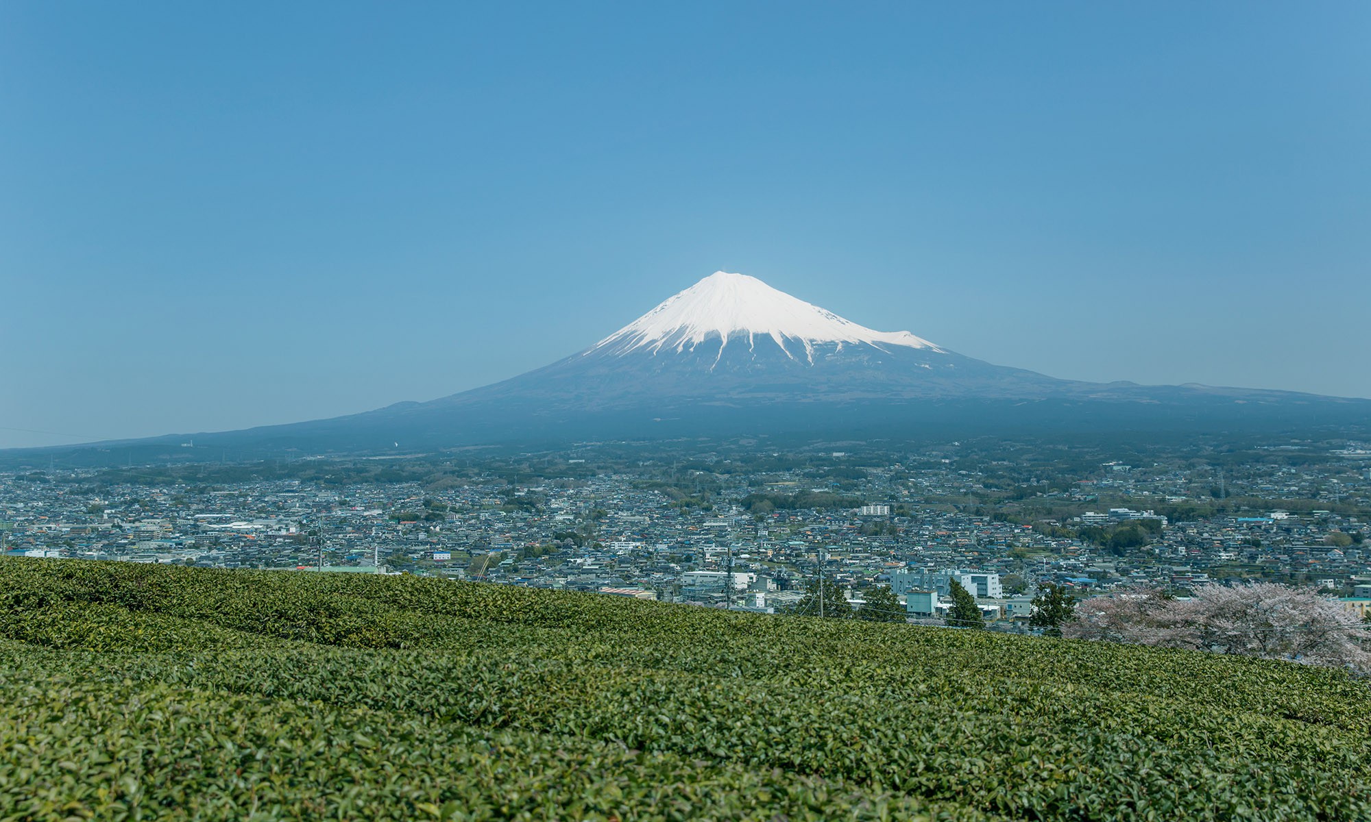 富士山の見える道 | ランナーズインフォメーション研究所
